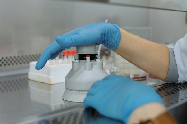 Le rôle des vitamines dans la croissance des cheveux